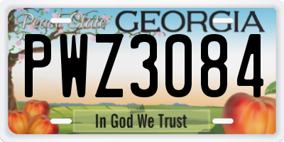 GA license plate PWZ3084