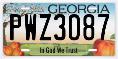 GA license plate PWZ3087