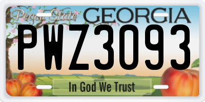 GA license plate PWZ3093