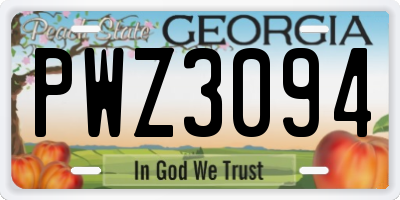 GA license plate PWZ3094
