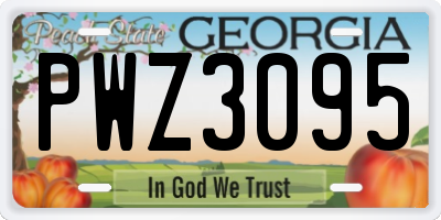 GA license plate PWZ3095