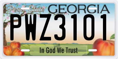 GA license plate PWZ3101