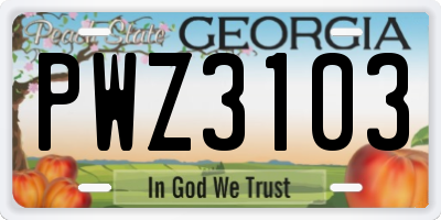 GA license plate PWZ3103