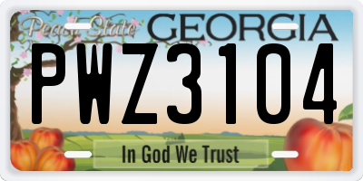 GA license plate PWZ3104