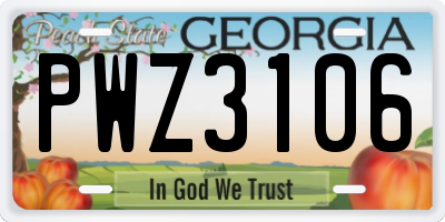 GA license plate PWZ3106