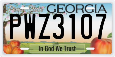 GA license plate PWZ3107