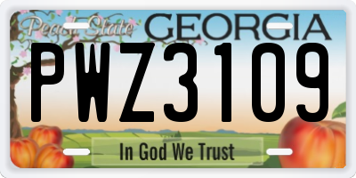 GA license plate PWZ3109