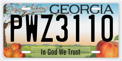 GA license plate PWZ3110