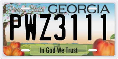 GA license plate PWZ3111