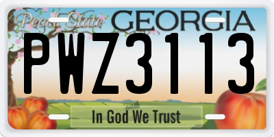 GA license plate PWZ3113