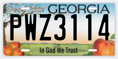 GA license plate PWZ3114