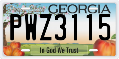GA license plate PWZ3115