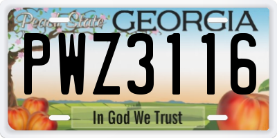 GA license plate PWZ3116