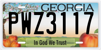 GA license plate PWZ3117