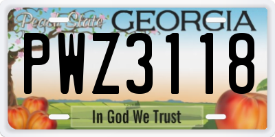 GA license plate PWZ3118