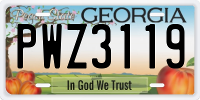GA license plate PWZ3119