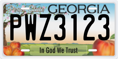 GA license plate PWZ3123