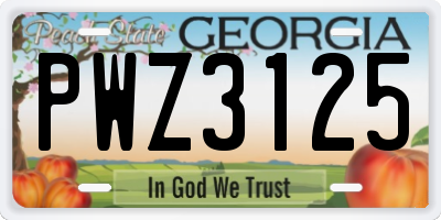 GA license plate PWZ3125