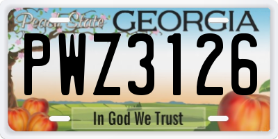 GA license plate PWZ3126