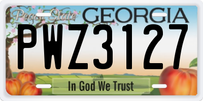 GA license plate PWZ3127