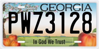 GA license plate PWZ3128