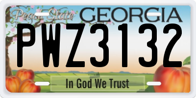 GA license plate PWZ3132