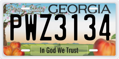GA license plate PWZ3134