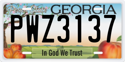 GA license plate PWZ3137