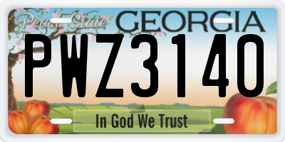 GA license plate PWZ3140