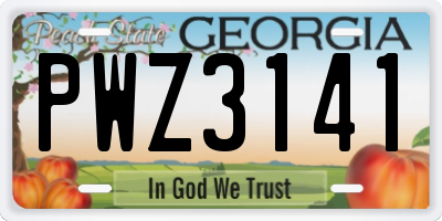 GA license plate PWZ3141