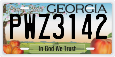 GA license plate PWZ3142