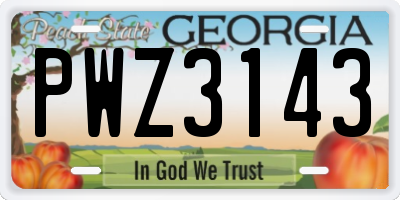 GA license plate PWZ3143
