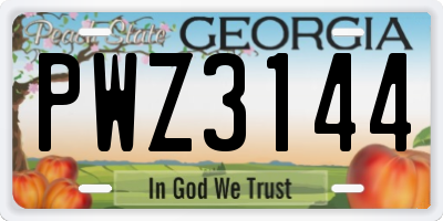 GA license plate PWZ3144