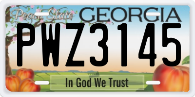 GA license plate PWZ3145
