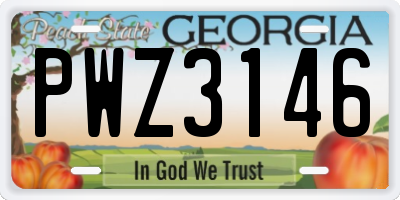 GA license plate PWZ3146