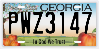 GA license plate PWZ3147