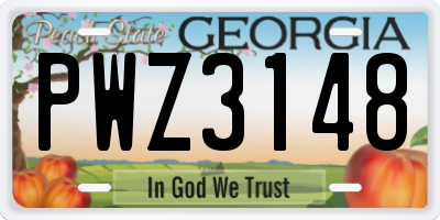 GA license plate PWZ3148