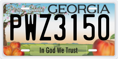 GA license plate PWZ3150