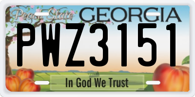GA license plate PWZ3151