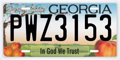 GA license plate PWZ3153