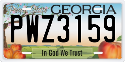 GA license plate PWZ3159
