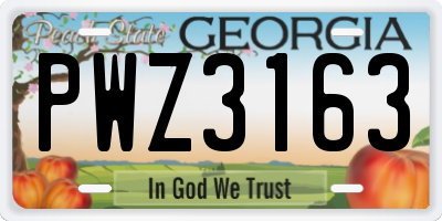 GA license plate PWZ3163