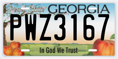 GA license plate PWZ3167