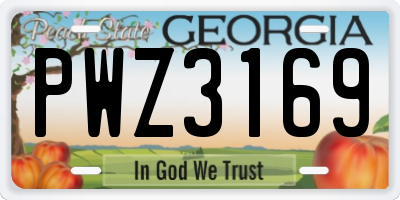 GA license plate PWZ3169