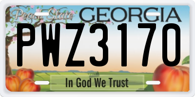 GA license plate PWZ3170