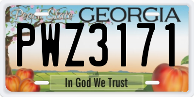 GA license plate PWZ3171
