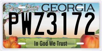 GA license plate PWZ3172