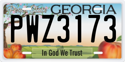 GA license plate PWZ3173