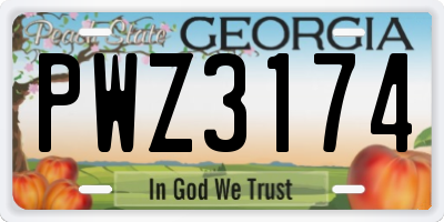 GA license plate PWZ3174