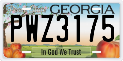 GA license plate PWZ3175
